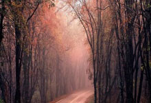 亚星官网：比赛日：萨拉赫创纪录利物浦断崖领跑 马竞翻船皇马追平巴萨.