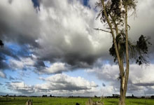 亚星官网：比赛日：萨拉赫创纪录利物浦断崖领跑 马竞翻船皇马追平巴萨.