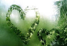 [德甲]帕利尼亚远射被挡 凯恩补射破门.