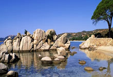 亚星官网：[CBA]江苏肯帝亚主场不敌深圳马可波罗.